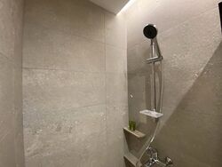 Mount Elizabeth Link (D9), Apartment #584030731